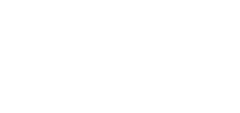 Verkhovets Law Long White Arrow