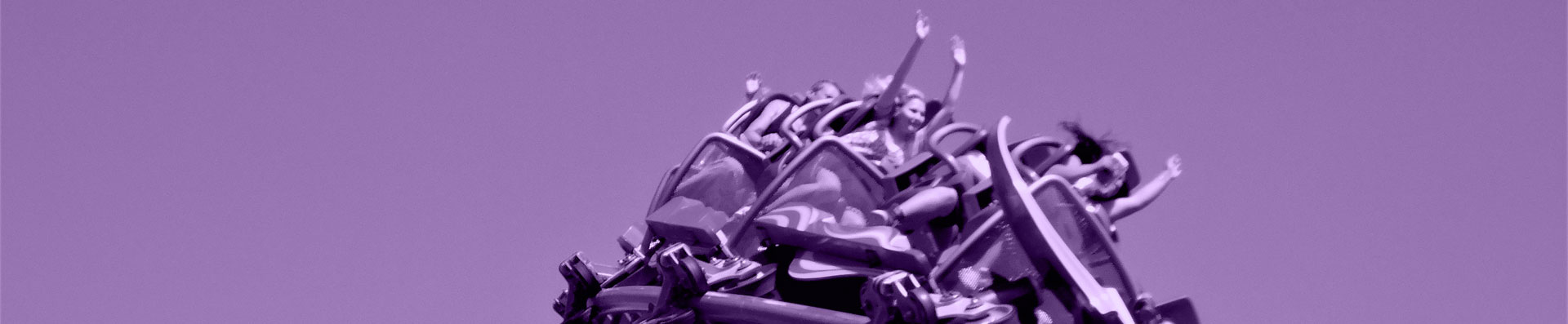 Amusement Park Injuries